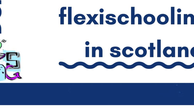 Flexischooling – Our First Findings
