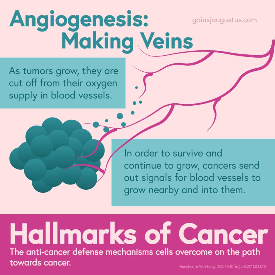 cancer infographic 1