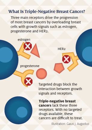 breast cancer infographic 2