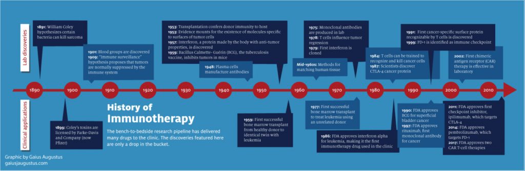 immunotherapy infographic